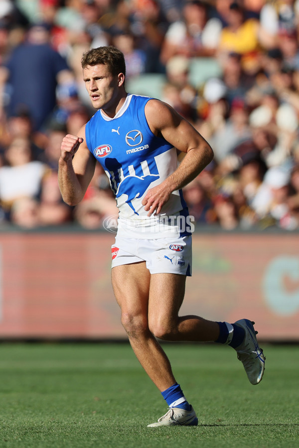 AFL 2025 Round 03 - Adelaide v North Melbourne - A-58229015