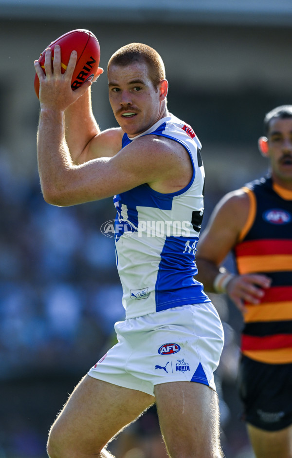 AFL 2025 Round 03 - Adelaide v North Melbourne - A-58229023