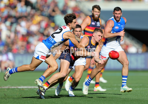 AFL 2025 Round 03 - Adelaide v North Melbourne - A-58229556