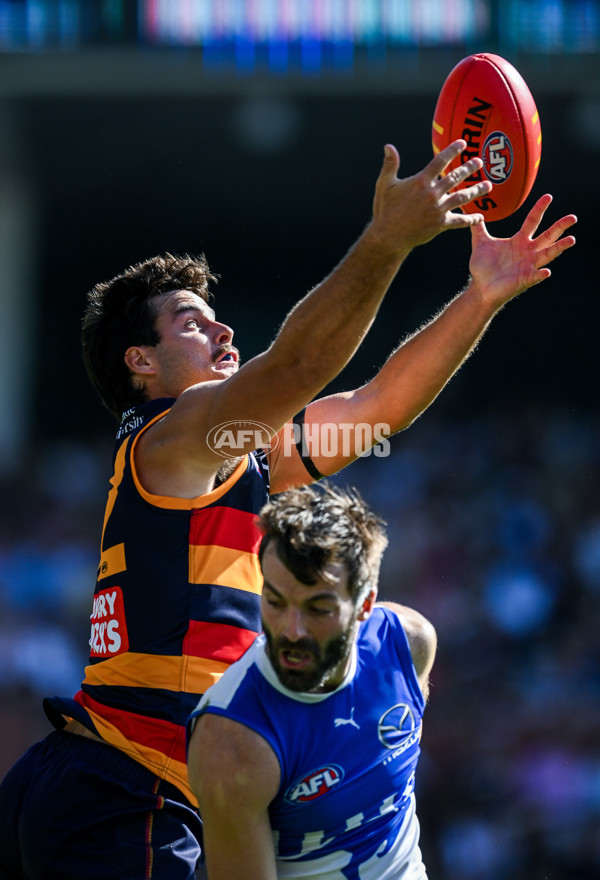AFL 2025 Round 03 - Adelaide v North Melbourne - A-58229559