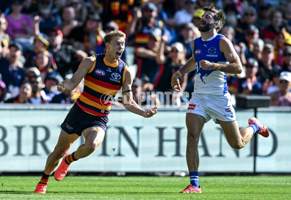 AFL 2025 Round 03 - Adelaide v North Melbourne - A-58229563