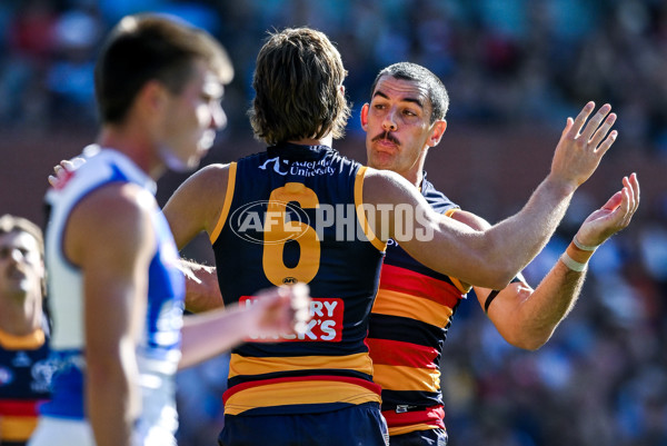 AFL 2025 Round 03 - Adelaide v North Melbourne - A-58229579
