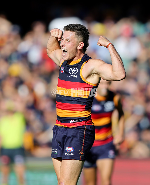 AFL 2025 Round 03 - Adelaide v North Melbourne - A-58229588