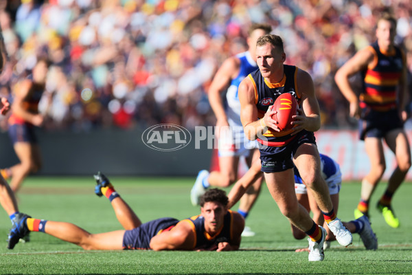 AFL 2025 Round 03 - Adelaide v North Melbourne - A-58229606