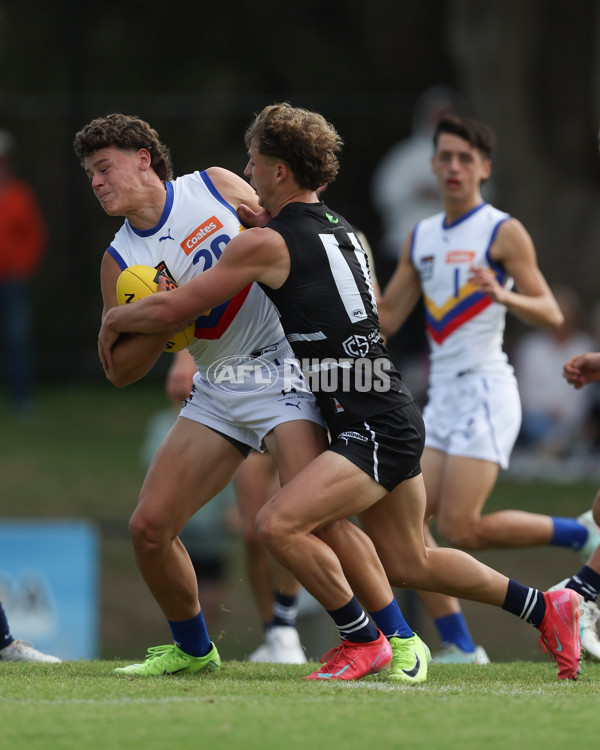 Coates League Boys 2025 Round 01 - Northern Knights v Eastern Ranges - A-58231178