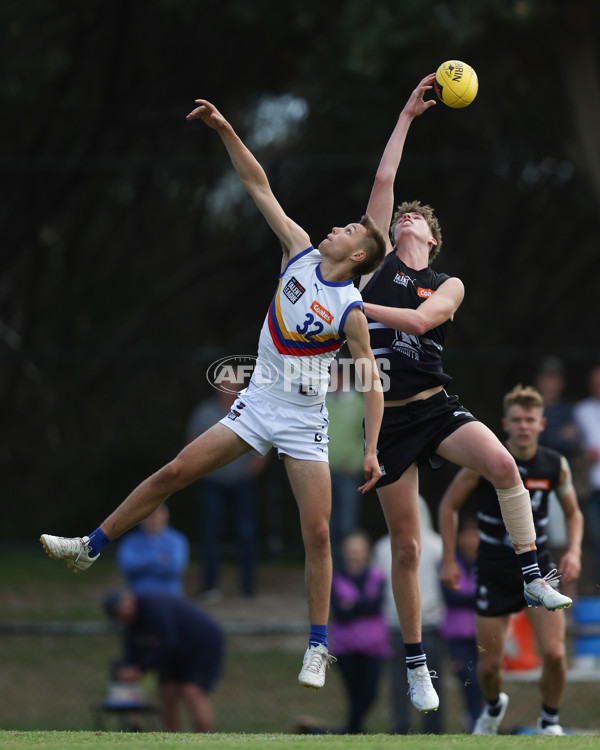 Coates League Boys 2025 Round 01 - Northern Knights v Eastern Ranges - A-58231183