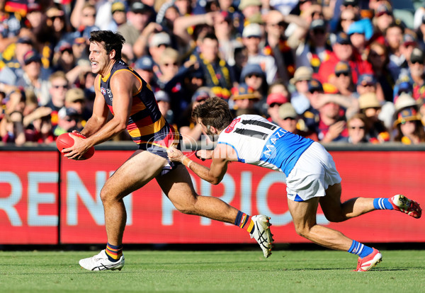 AFL 2025 Round 03 - Adelaide v North Melbourne - A-58231232