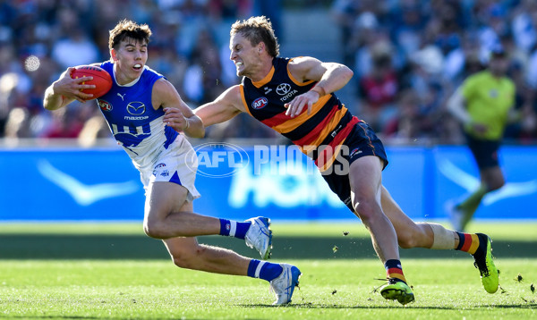 AFL 2025 Round 03 - Adelaide v North Melbourne - A-58231233
