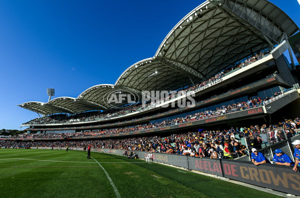 AFL 2025 Round 03 - Adelaide v North Melbourne - A-58232094