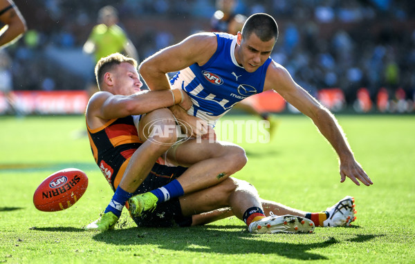 AFL 2025 Round 03 - Adelaide v North Melbourne - A-58232110
