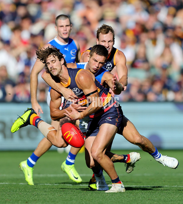 AFL 2025 Round 03 - Adelaide v North Melbourne - A-58232122