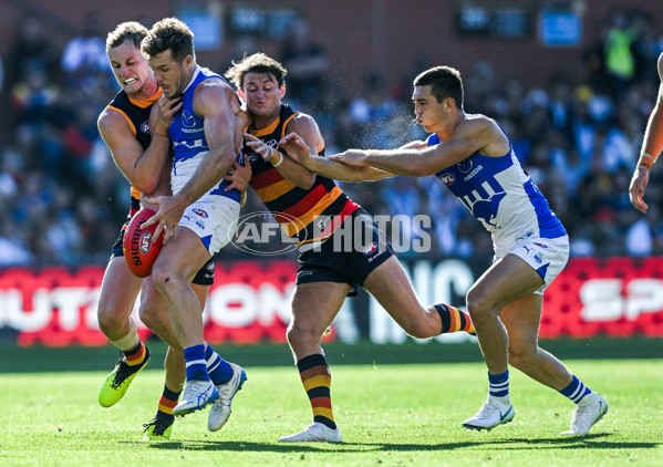 AFL 2025 Round 03 - Adelaide v North Melbourne - A-58232134