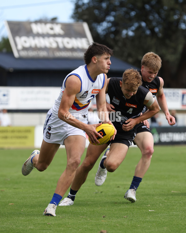 Coates League Boys 2025 Round 01 - Northern Knights v Eastern Ranges - A-58232153