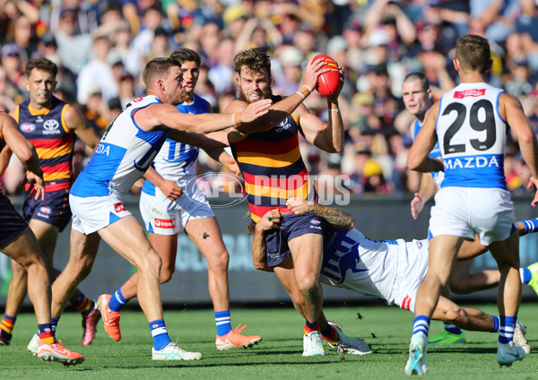 AFL 2025 Round 03 - Adelaide v North Melbourne - A-58233685