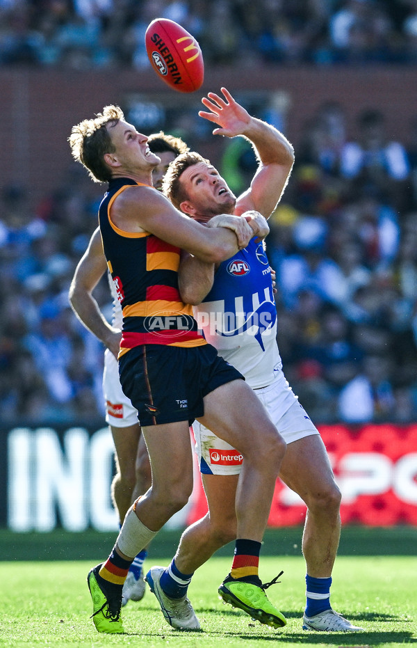 AFL 2025 Round 03 - Adelaide v North Melbourne - A-58233686