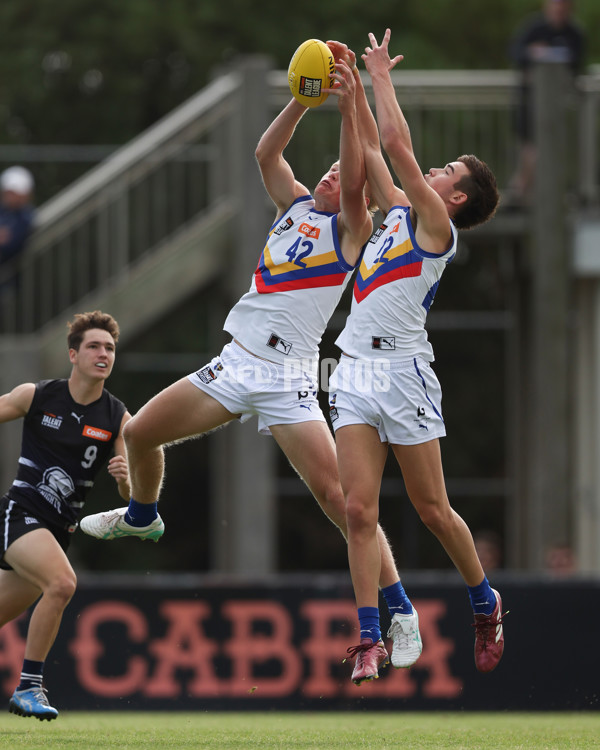 Coates League Boys 2025 Round 01 - Northern Knights v Eastern Ranges - A-58233710