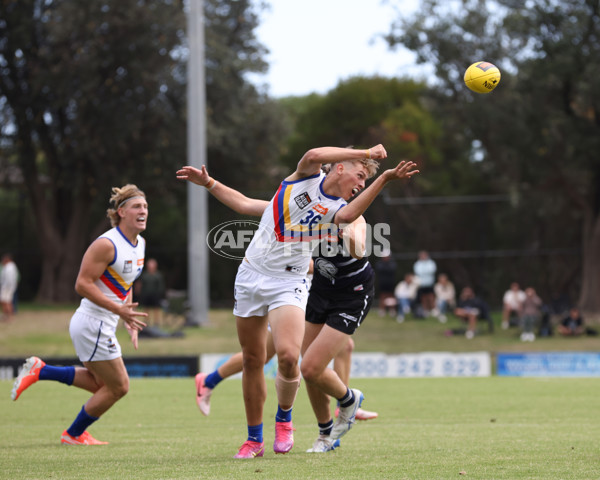Coates League Boys 2025 Round 01 - Northern Knights v Eastern Ranges - A-58234380