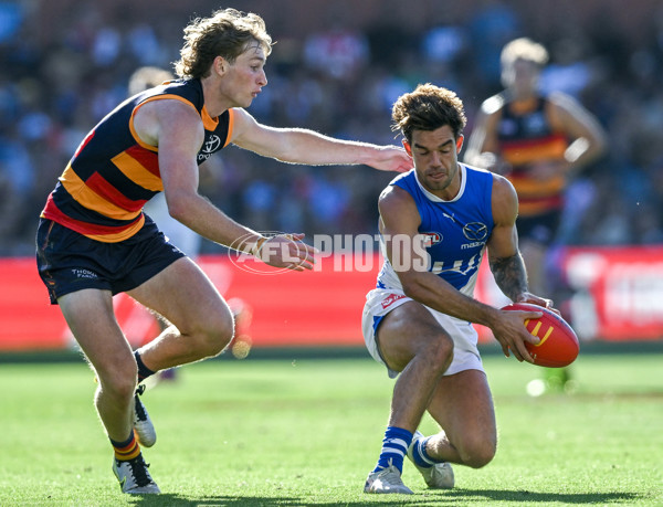AFL 2025 Round 03 - Adelaide v North Melbourne - A-58237403