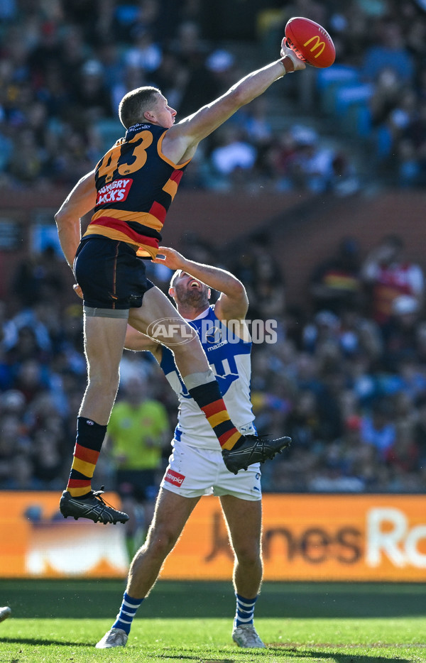 AFL 2025 Round 03 - Adelaide v North Melbourne - A-58239140
