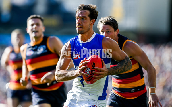 AFL 2025 Round 03 - Adelaide v North Melbourne - A-58239142