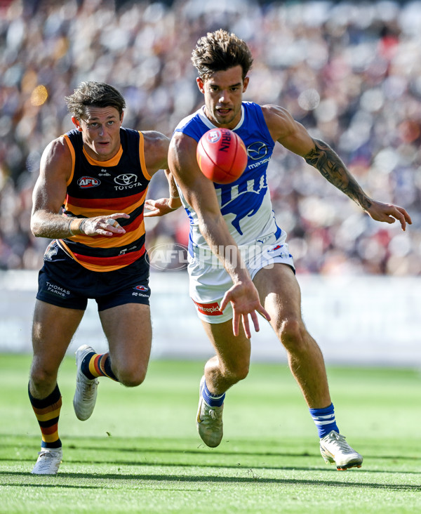 AFL 2025 Round 03 - Adelaide v North Melbourne - A-58239145