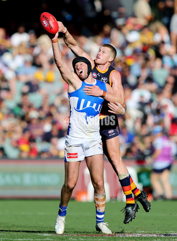 AFL 2025 Round 03 - Adelaide v North Melbourne - A-58239171