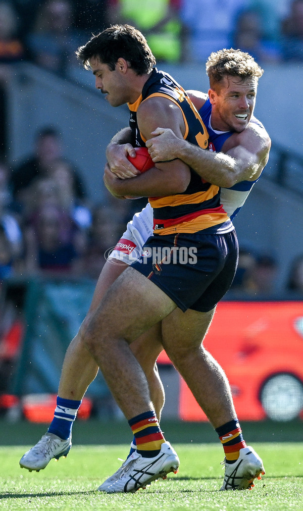 AFL 2025 Round 03 - Adelaide v North Melbourne - A-58239178