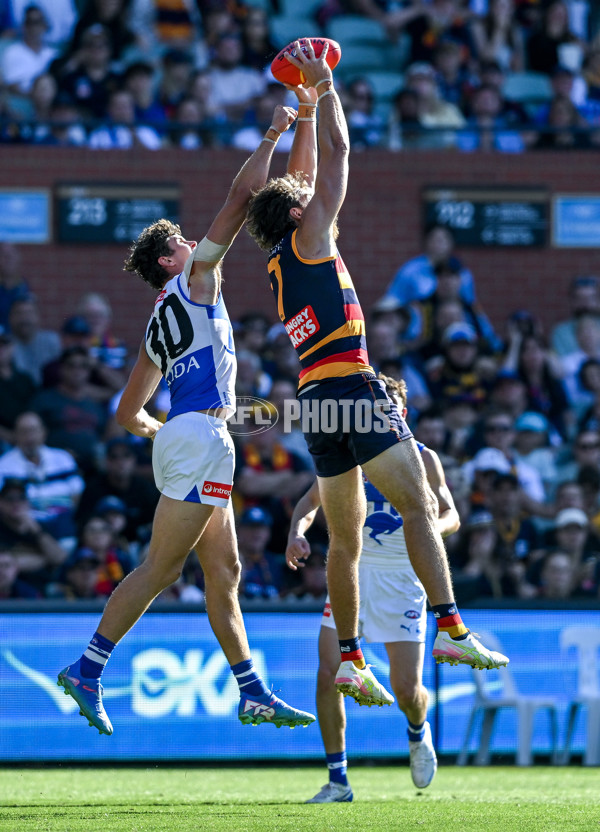 AFL 2025 Round 03 - Adelaide v North Melbourne - A-58239183