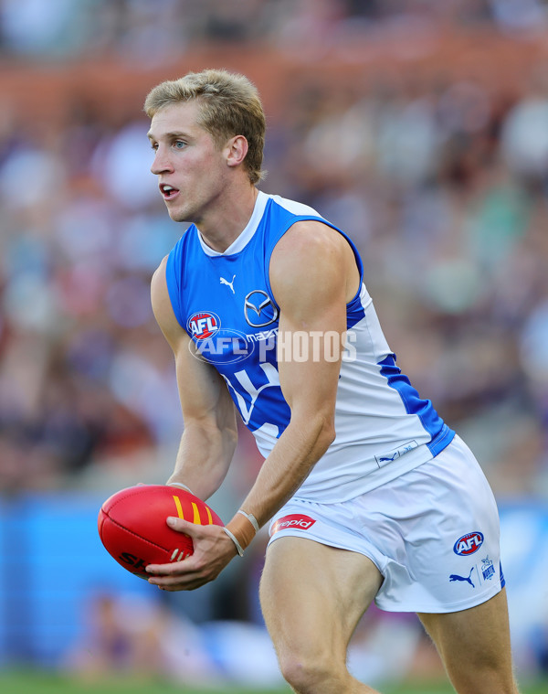 AFL 2025 Round 03 - Adelaide v North Melbourne - A-58239194