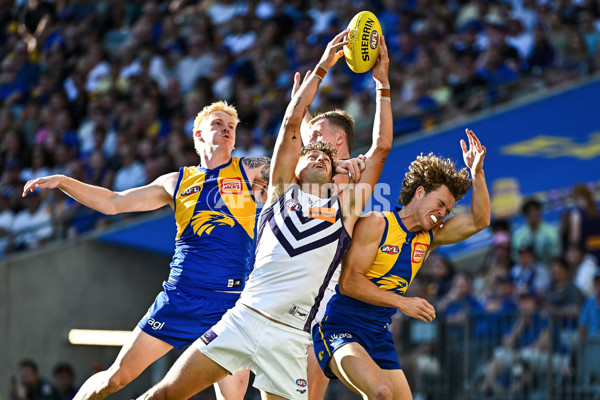 AFL 2025 Round 03 - West Coast v Fremantle - A-58239632