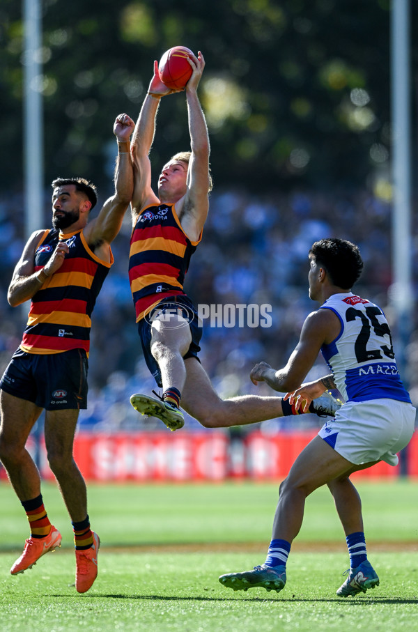 AFL 2025 Round 03 - Adelaide v North Melbourne - A-58239646