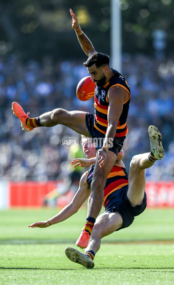 AFL 2025 Round 03 - Adelaide v North Melbourne - A-58239651