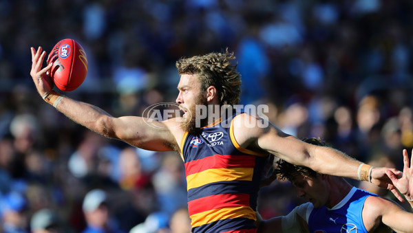 AFL 2025 Round 03 - Adelaide v North Melbourne - A-58239652