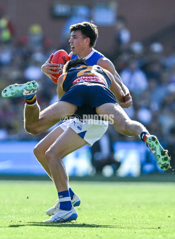 AFL 2025 Round 03 - Adelaide v North Melbourne - A-58239664