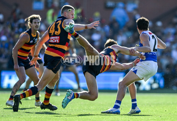 AFL 2025 Round 03 - Adelaide v North Melbourne - A-58239669