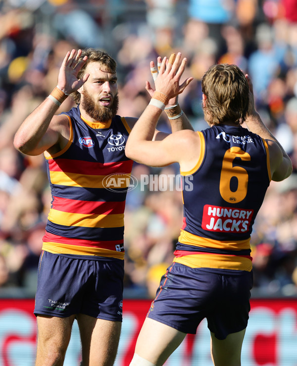 AFL 2025 Round 03 - Adelaide v North Melbourne - A-58239708