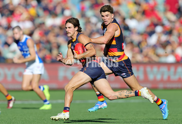 AFL 2025 Round 03 - Adelaide v North Melbourne - A-58239715
