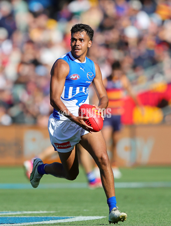 AFL 2025 Round 03 - Adelaide v North Melbourne - A-58242056