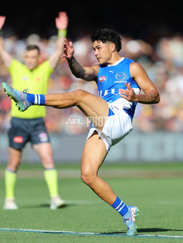 AFL 2025 Round 03 - Adelaide v North Melbourne - A-58242093