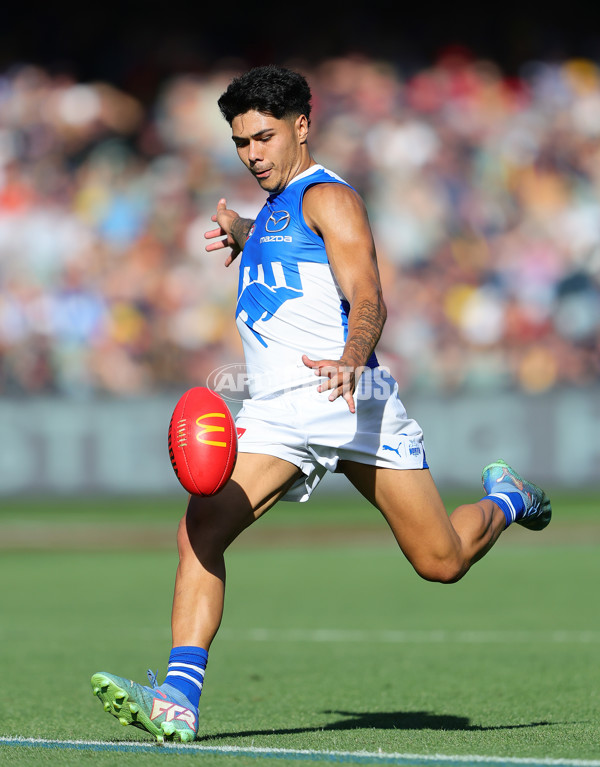 AFL 2025 Round 03 - Adelaide v North Melbourne - A-58242094
