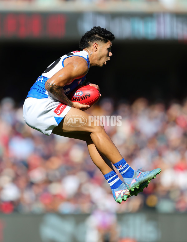 AFL 2025 Round 03 - Adelaide v North Melbourne - A-58242105