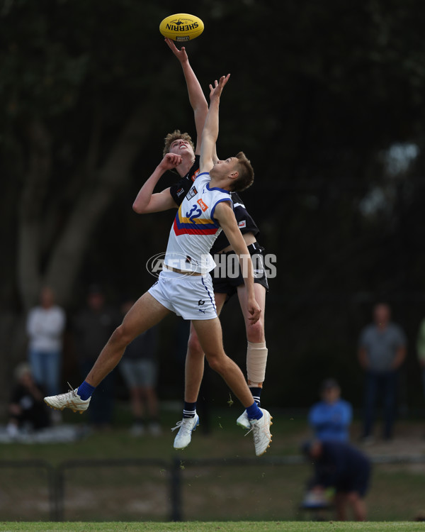 Coates League Boys 2025 Round 01 - Northern Knights v Eastern Ranges - A-58242153