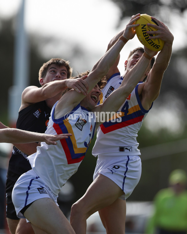Coates League Boys 2025 Round 01 - Northern Knights v Eastern Ranges - A-58244073