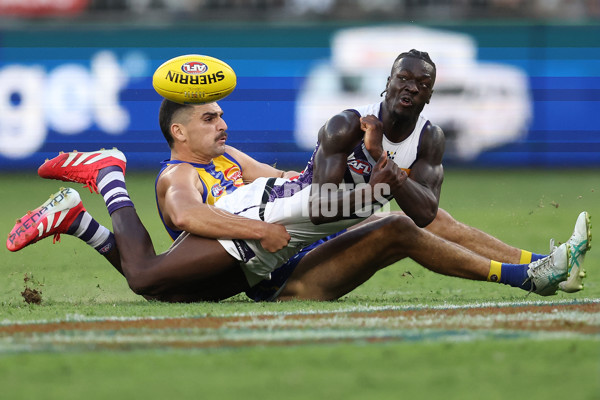 AFL 2025 Round 03 - West Coast v Fremantle - A-58244687