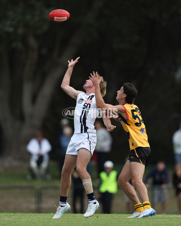 Coates League Boys 2025 Round 01 - Dandenong Stingrays v Geelong Falcons - A-58246542