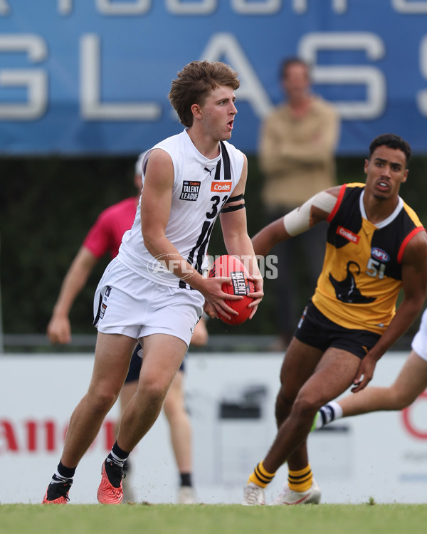 Coates League Boys 2025 Round 01 - Dandenong Stingrays v Geelong Falcons - A-58246543