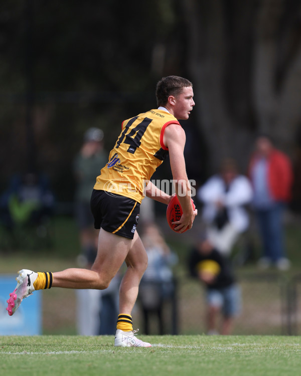 Coates League Boys 2025 Round 01 - Dandenong Stingrays v Geelong Falcons - A-58246544