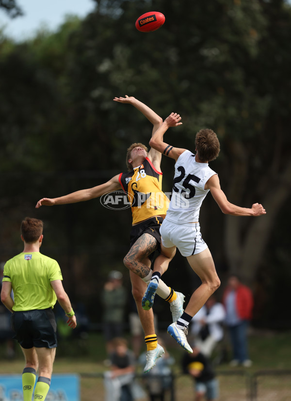 Coates League Boys 2025 Round 01 - Dandenong Stingrays v Geelong Falcons - A-58246545