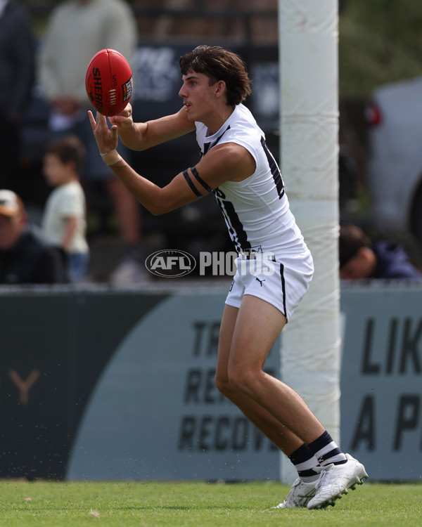 Coates League Boys 2025 Round 01 - Dandenong Stingrays v Geelong Falcons - A-58246546