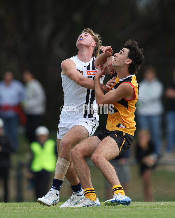 Coates League Boys 2025 Round 01 - Dandenong Stingrays v Geelong Falcons - A-58246547